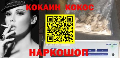 шишки Можга