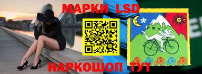 шишки Можга