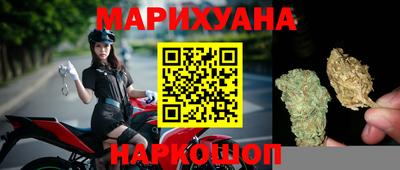 стаф Моздок