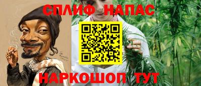 шишки Можга