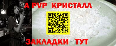 шишки Можга
