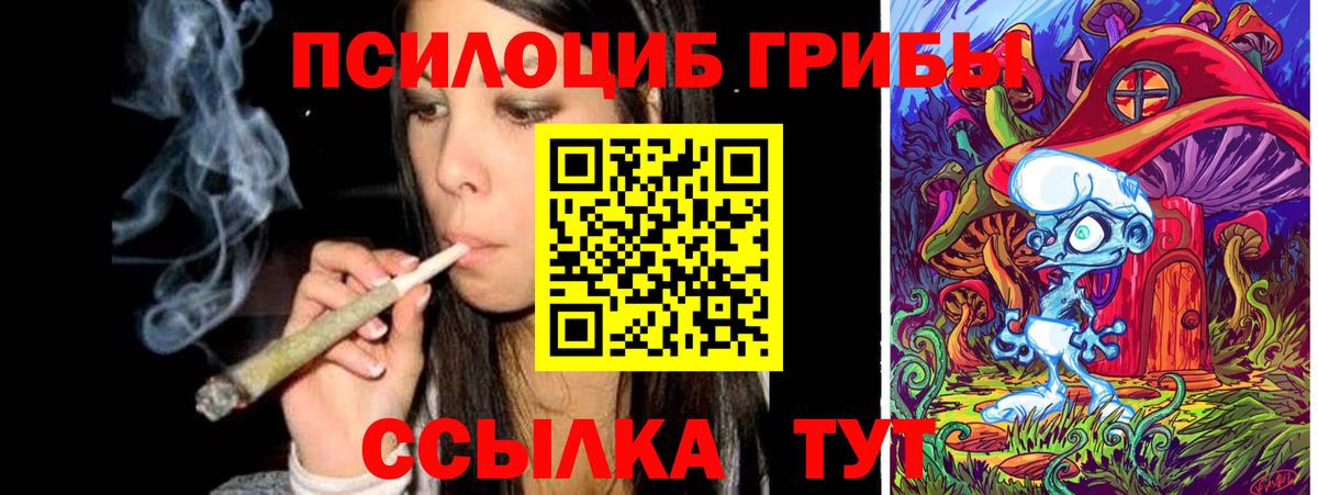 Псилоцибиновые грибы Cubensis  Вход с VPN  Галлюциногенные грибы Psilocybine cubensis  Черкесск 