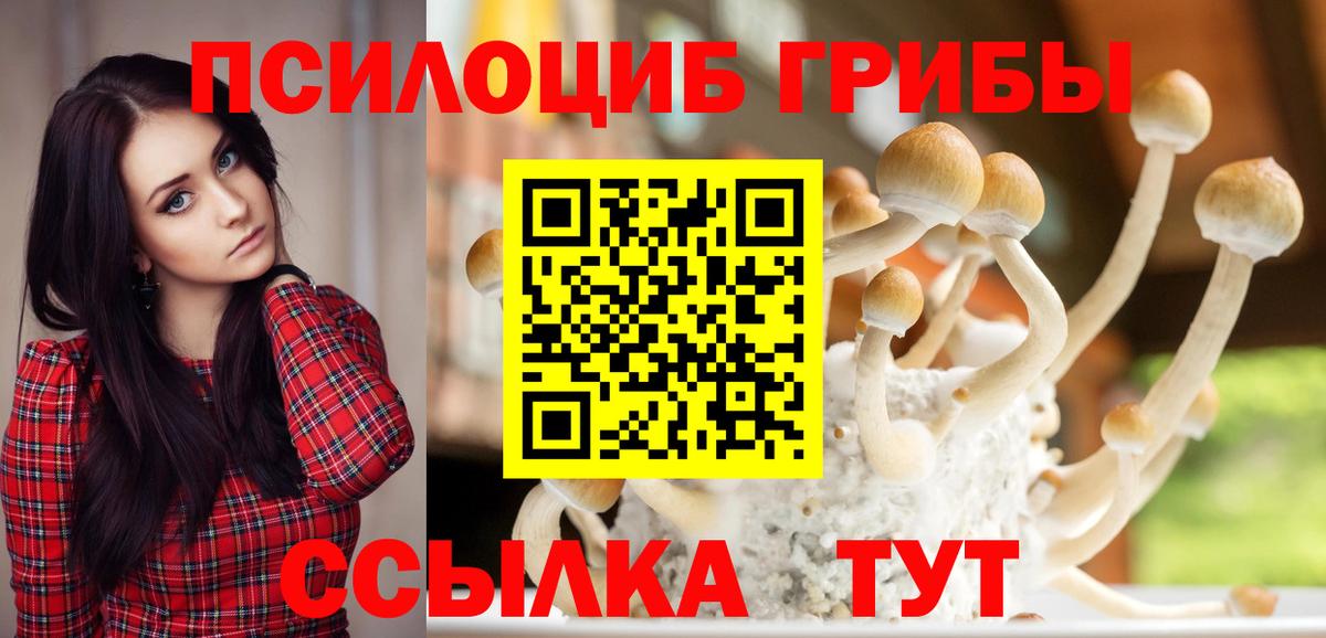 Псилоцибиновые грибы мухоморы Черкесск